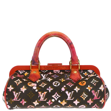 Louis Vuitton 2008 Monogram Watercolor Papillon Frame Handbag M95730