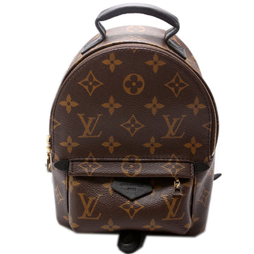 Palm Springs Mini Monogram 2021+