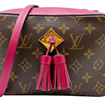 Saintonge Handbag Monogram Canvas with Leather