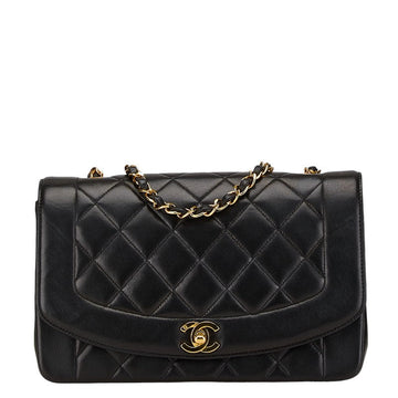 Top Quality Chanel Diana 25 Leather Chain Shoulder Bag A01165