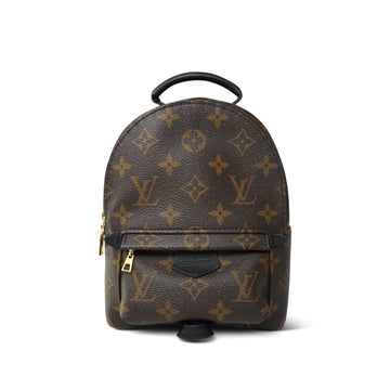 Louis Vuitton Monogram Palm Springs Mini Backpack