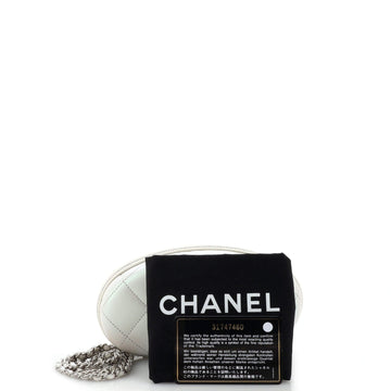 Zip Around Sunglasses Case with Chain Iridescent Lambskin