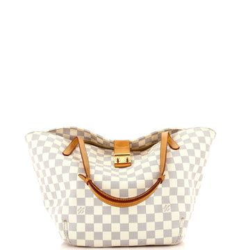 Salina Handbag Damier PM