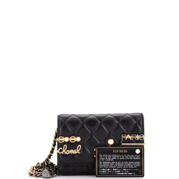 Coco Clips Wallet on Chain Embellished Quilted Lambskin Mini