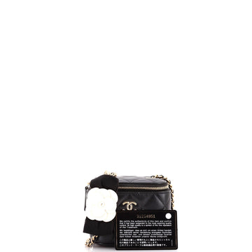 Camellia Bow Vanity Case with Chain Quilted Lambskin Mini