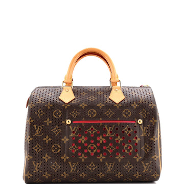 Speedy Handbag Perforated Monogram Canvas 30