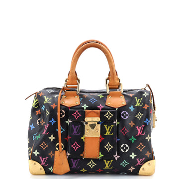 Speedy Handbag Monogram Multicolor 30