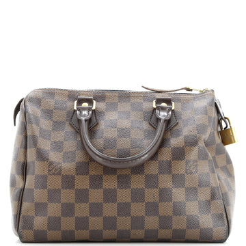 Speedy Handbag Damier 25