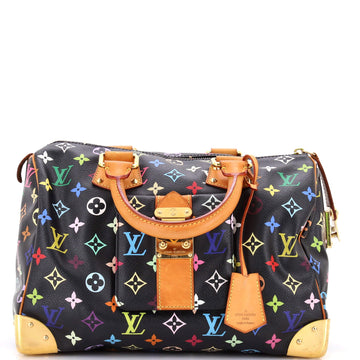 Speedy Handbag Monogram Multicolor 30
