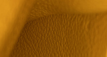 Saigon Top Handle Bag Coated canvas/Leather with Leather Mini