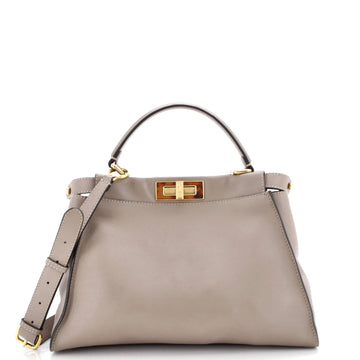 Peekaboo Bag Leather with Plexiglass Detail Regular