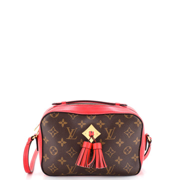 Saintonge Handbag Monogram Canvas with Leather