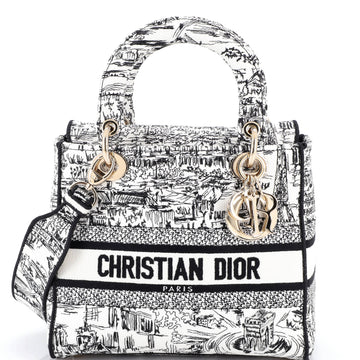 Lady D-Lite Bag Embroidered Canvas Medium