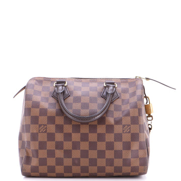Speedy Handbag Damier 25