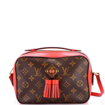 Saintonge Handbag Monogram Canvas with Leather