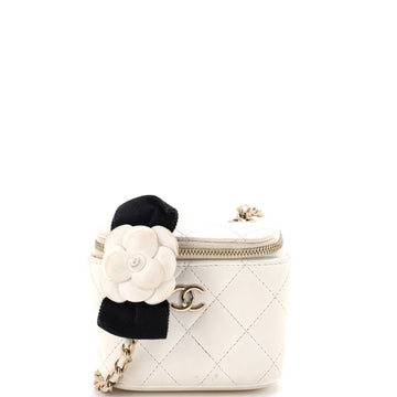 Camellia Bow Vanity Case with Chain Quilted Lambskin Mini