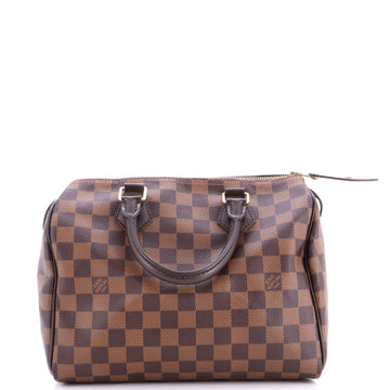 Speedy Handbag Damier 25