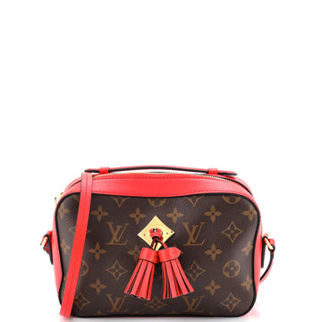 Saintonge Handbag Monogram Canvas with Leather
