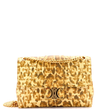 Victoire Flap Shoulder Bag Printed Triomphe Coated Canvas Medium