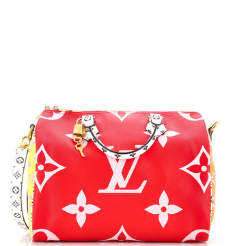 Speedy Bandouliere Bag Limited Edition Colored Monogram Giant 30
