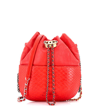 Gabrielle Drawstring Bag Calfskin and Python Small