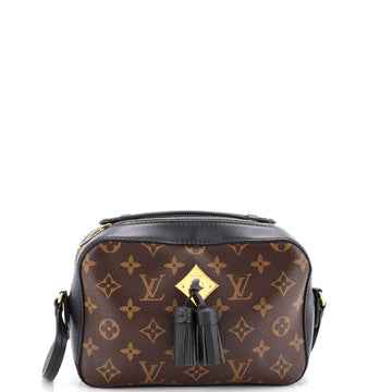 Saintonge Handbag Monogram Canvas with Leather