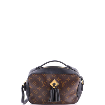 Saintonge Handbag Monogram Canvas with Leather