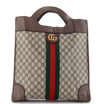 Ophidia Cut Out Handle Bag GG Coated Canvas with Leather Large