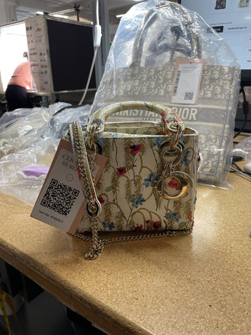 Lady Dior Chain Bag Embroidered Printed Leather Mini
