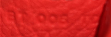 Halzan Bag Leather 25