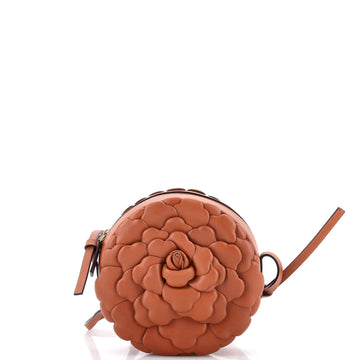 Atelier 03 Rose Edition Round Crossbody Bag Leather