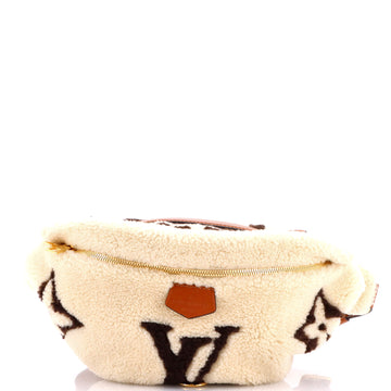 Bum Bag Monogram Giant Teddy Fleece