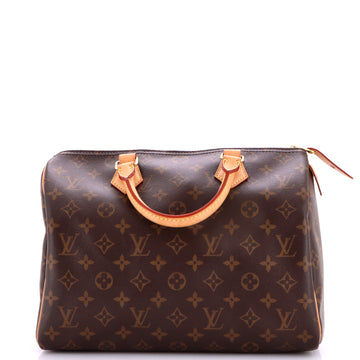 Speedy Handbag Monogram Canvas 30