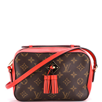 Saintonge Handbag Monogram Canvas with Leather