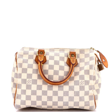 Speedy Handbag Damier 25