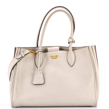 Soft Bibliotheque Tote City Calfskin Medium