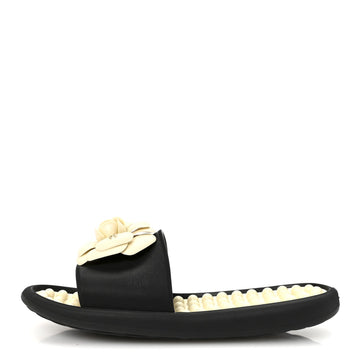 Thermoplastic PVC Camellia Mule Sandals 38 Black Ivory