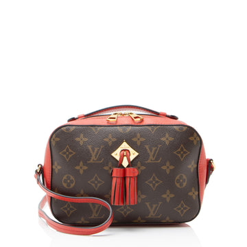 Saintonge Handbag Monogram Canvas with Leather