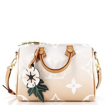 Speedy Bandouliere Bag By The Pool Monogram Giant 25