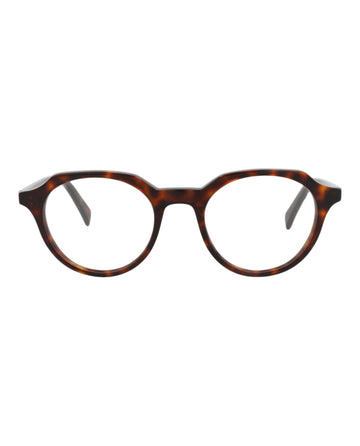Celine Mens Round/Oval Havana Havana Transparent Fashion Designer Eyewear