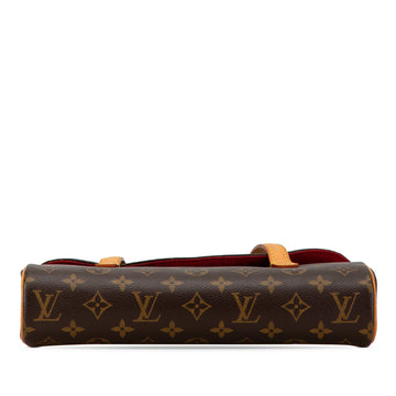 Brown Louis Vuitton Monogram Sonatine Handbag