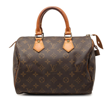 Speedy Handbag Monogram Canvas 25