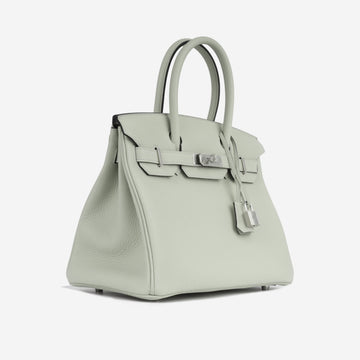 Birkin 30 - Gris Neve