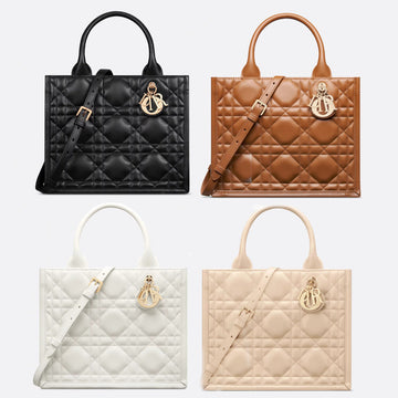 Small Dior Book Tote