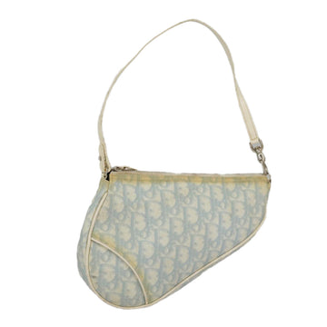 Dior Saddle  Canvas Clutch Bag