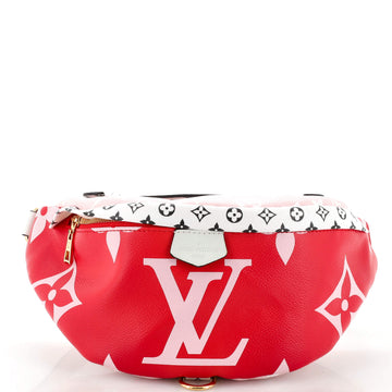 Bum Bag Limited Edition Colored Monogram Giant