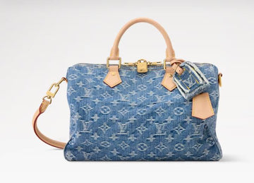 Louis Vuitton Speedy Soft 30