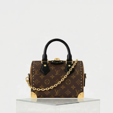 Speedy Trunk 20 Monogram Handbag